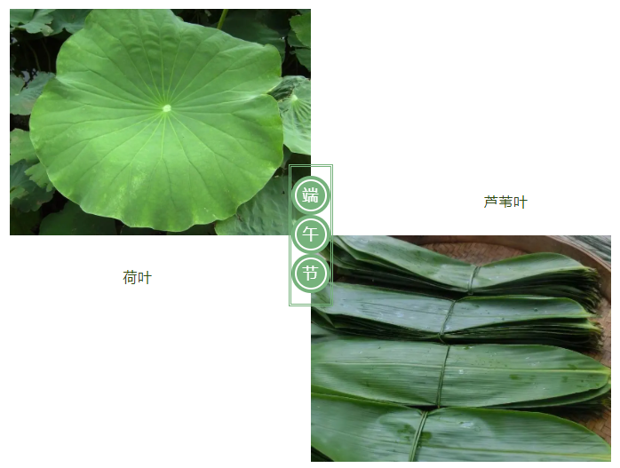 jinnian金年会医纺