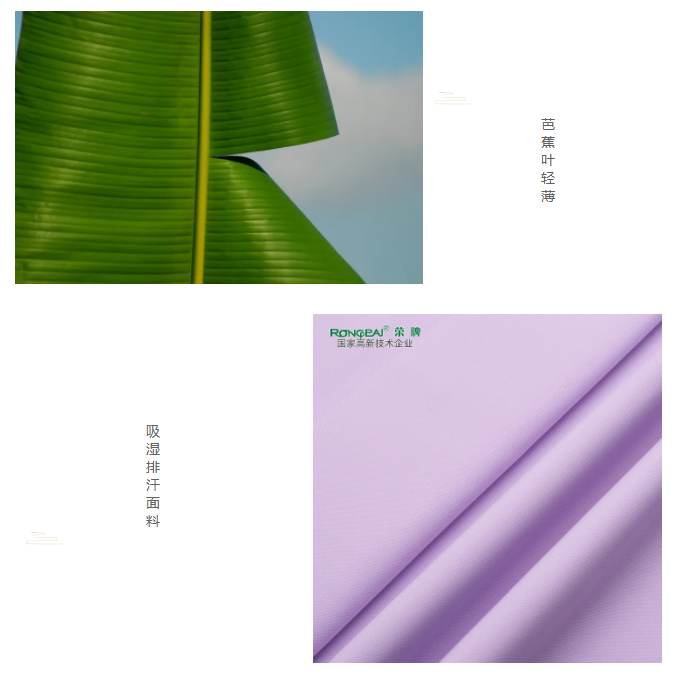 jinnian金年会医纺