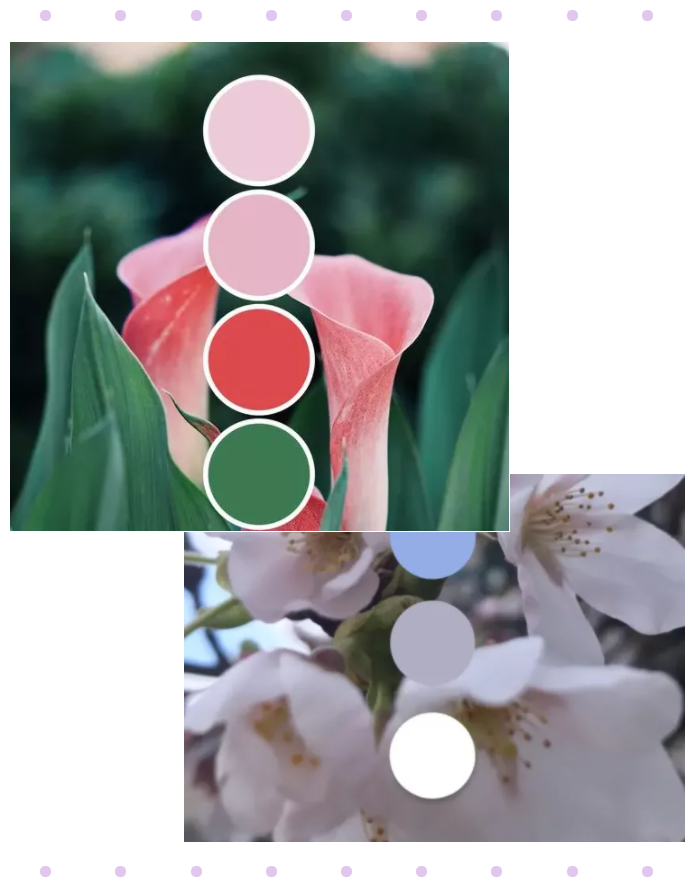 jinnian金年会纺织面料